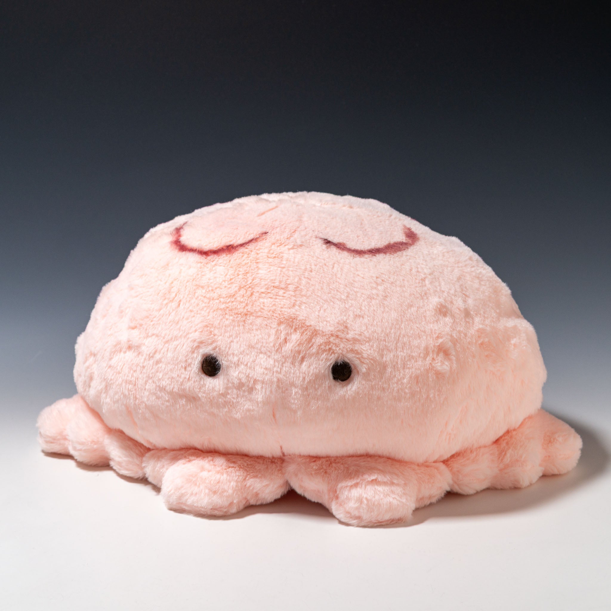 内藤デザイン研究所 ぬいぐるみ 海中散歩 もちだっこ クッション 全4種