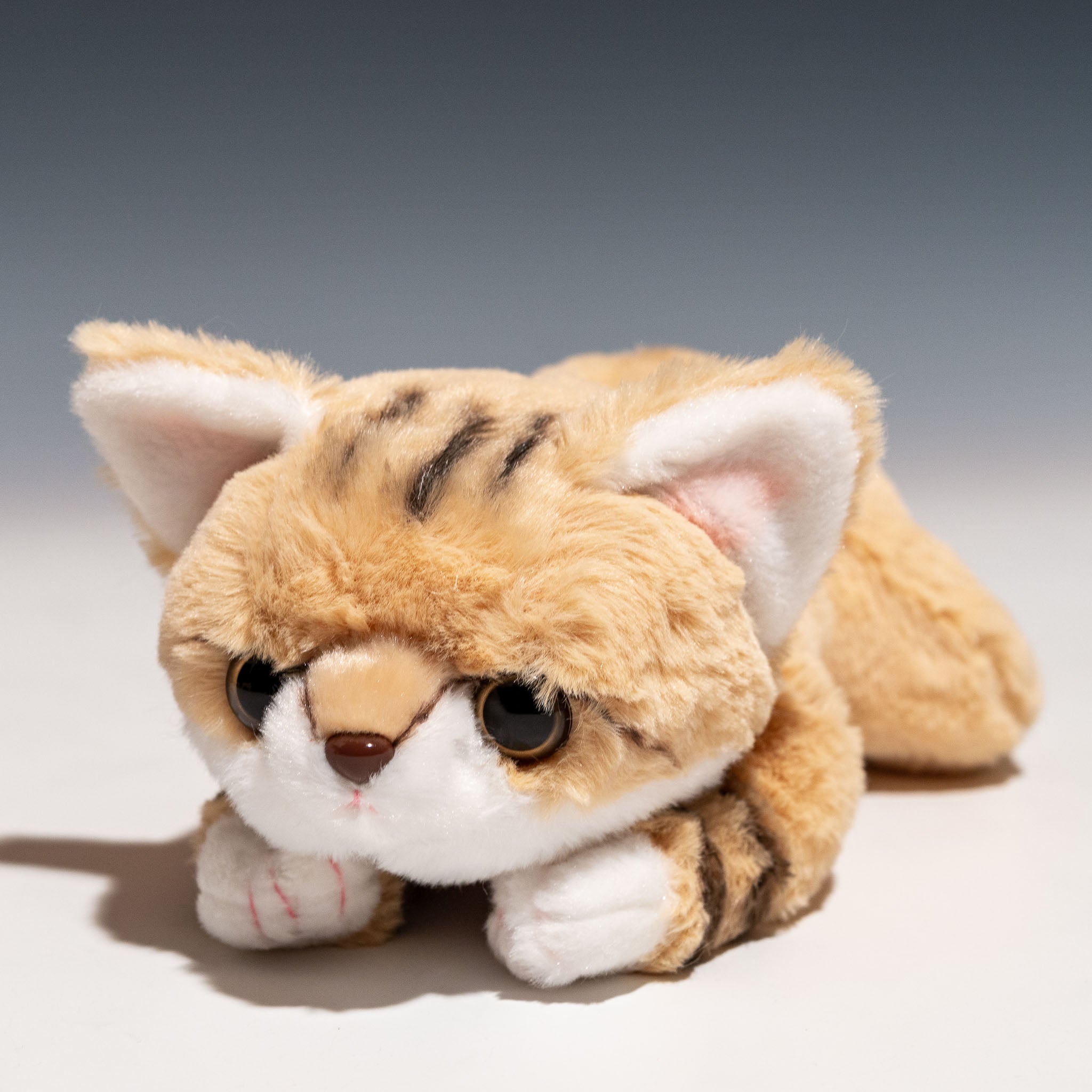 CUT-Z0322-1.jpg?v=1755934859&