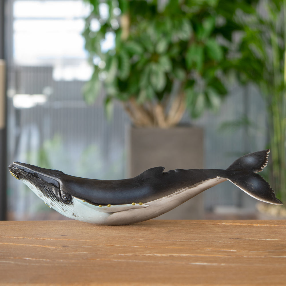 Humpback Whale Soft Model – Favorite official website