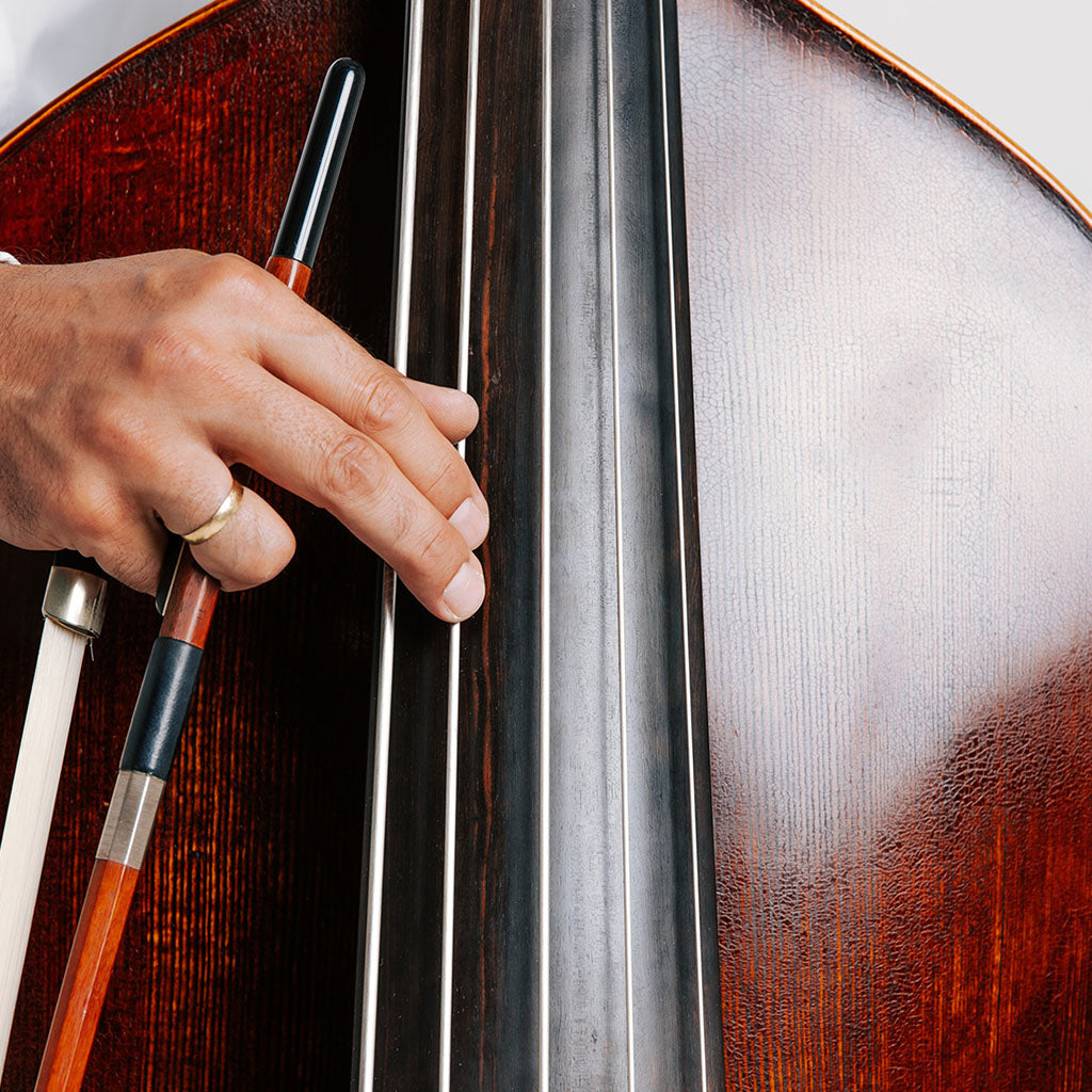 Thomastik Peter Infeld (PI) Bass String Set