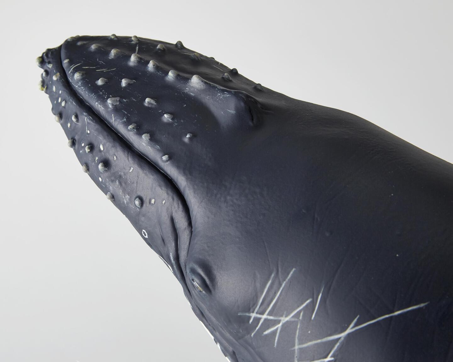 ザトウクジラの親子が、40cm超えの大型完成品スタチューで登場 - 株式