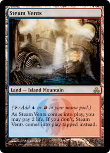 蒸気孔/Steam Vents》[GPT] 土地R | 日本最大級 MTG通販サイト「晴れる屋」