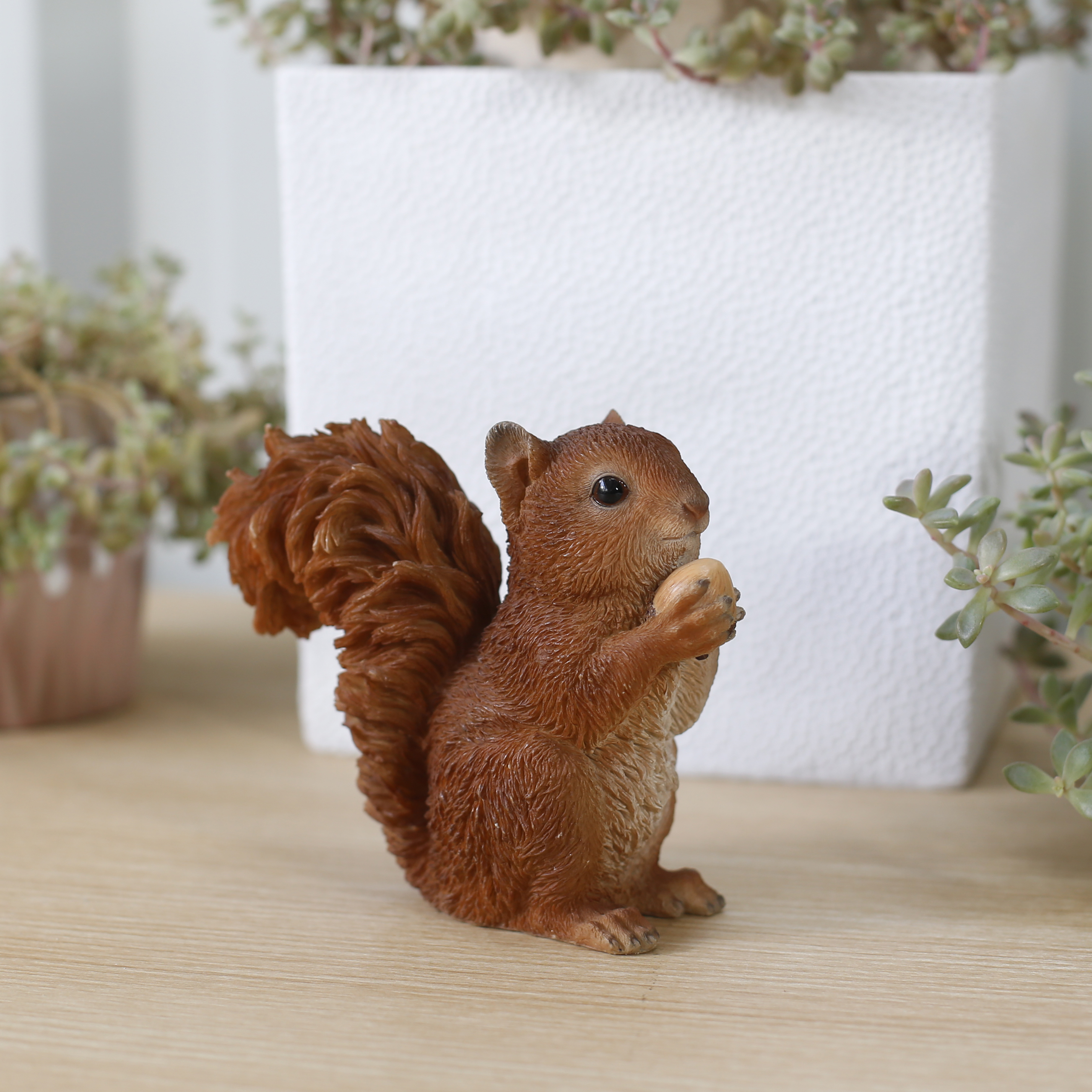 松ぼっくりを掴むリス | 業者様向け・WooBia仕入れサイト｜アニマル