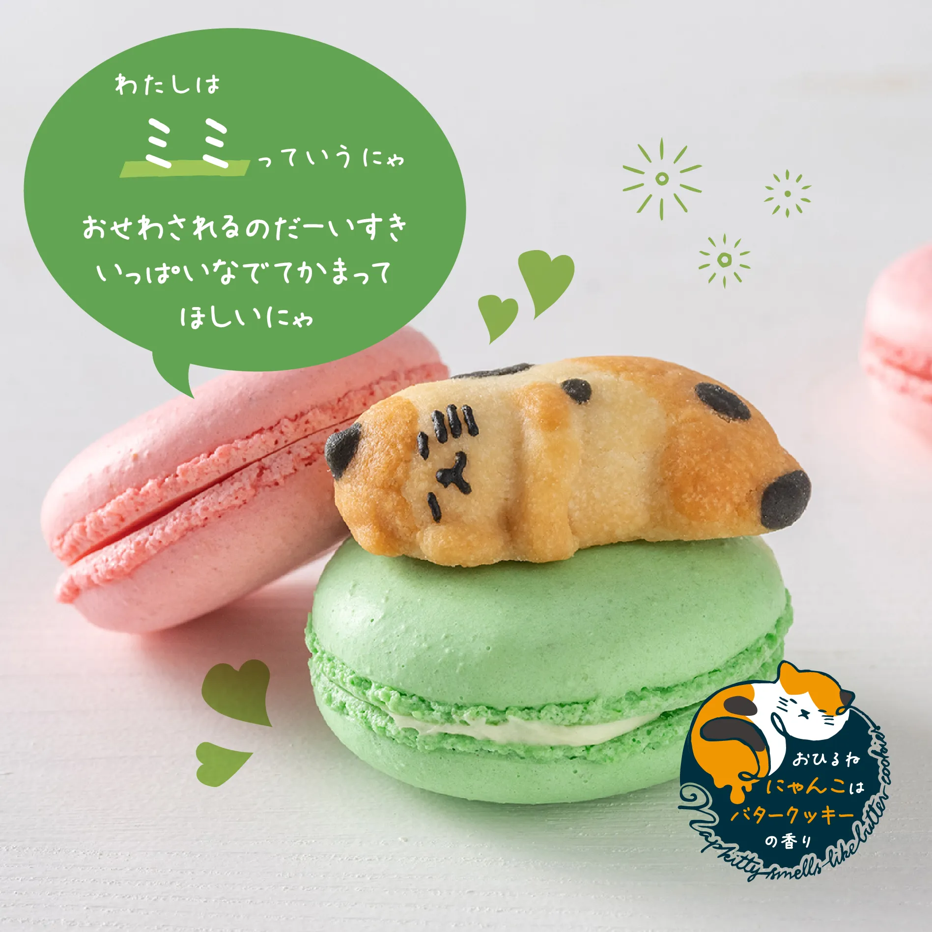 おひるねにゃんこはバタークッキーの香り ミミ（三毛）|焼き菓子 | お