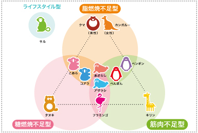 H&BP 遺伝子検査サービス(DNA) | 業務用美容・エステ機器の卸・仕入