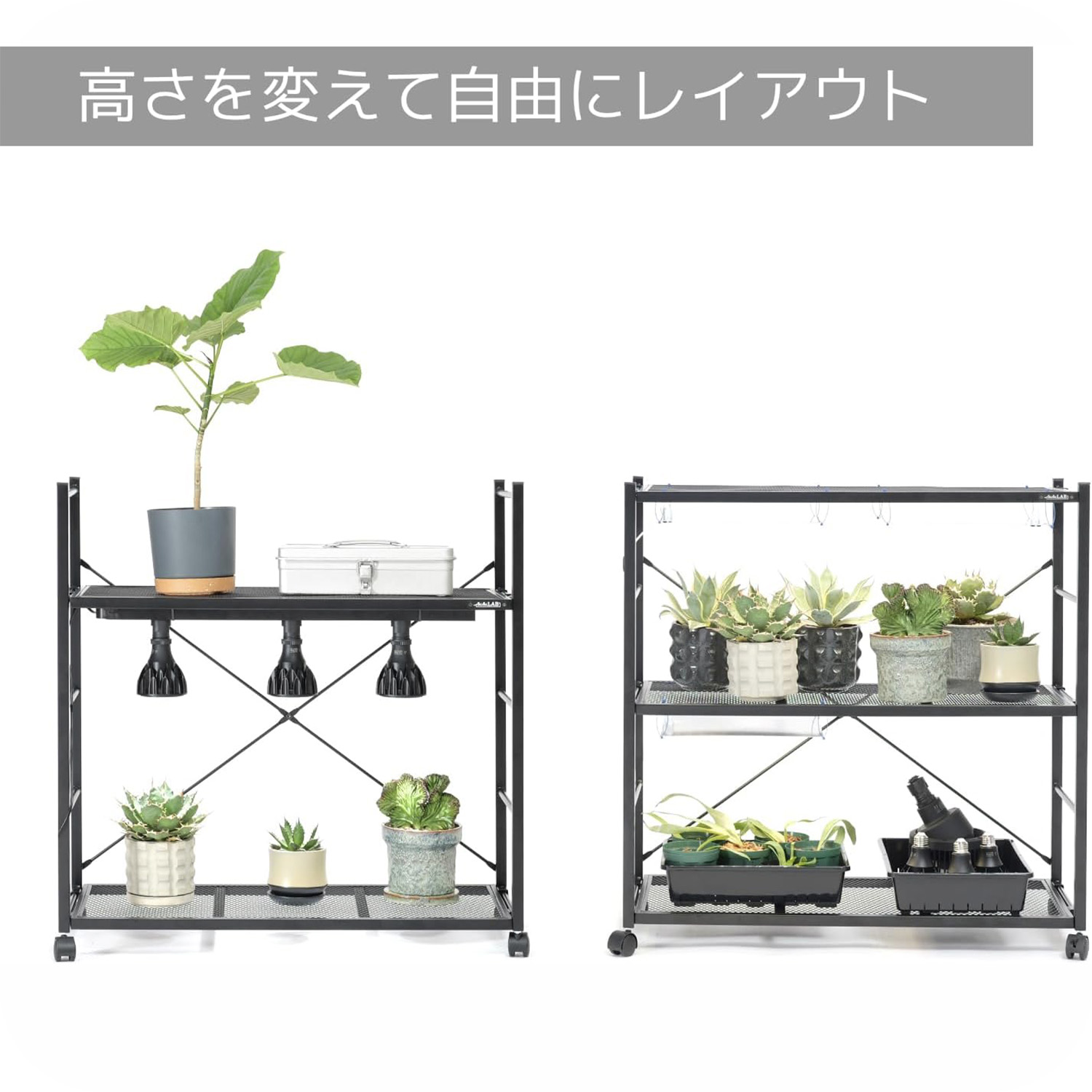 日本製】ビザールプランツラック LPR-800 | アガベ育成専用 | ユー