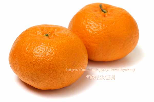 西南のひかり ＜ みかん：旬の果物百科