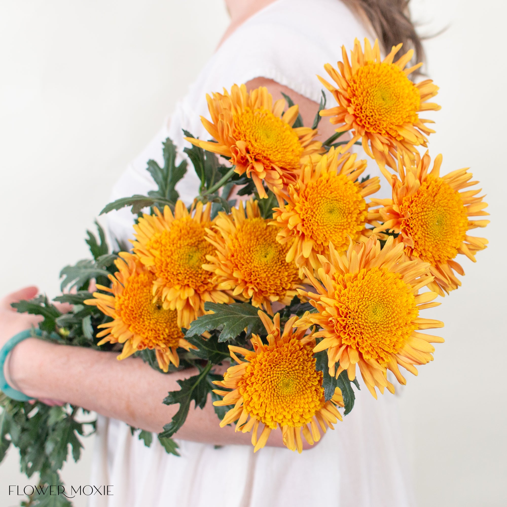 AnemonaTurocremone-6.jpg?v=