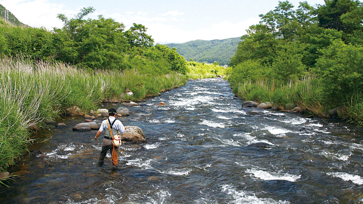 対照的な渓相を釣る信州の初夏 | ARTICLES | FlyFisher ONLINE フライ