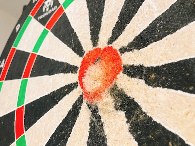 ダーツボード トリニダード レビュー】5ヶ月使ってブルが〇〇に - ふれ