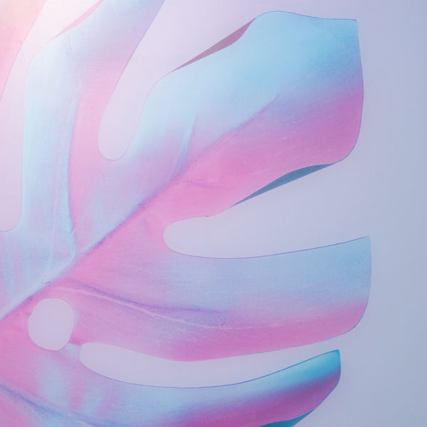 アクリルアート モンステラA | Francfranc（フランフラン）公式通販