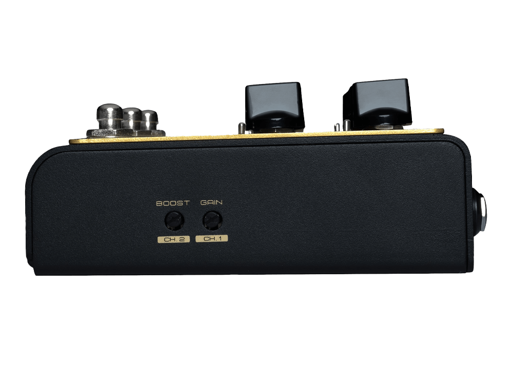 Friedman IR-X - Friedman Amplification