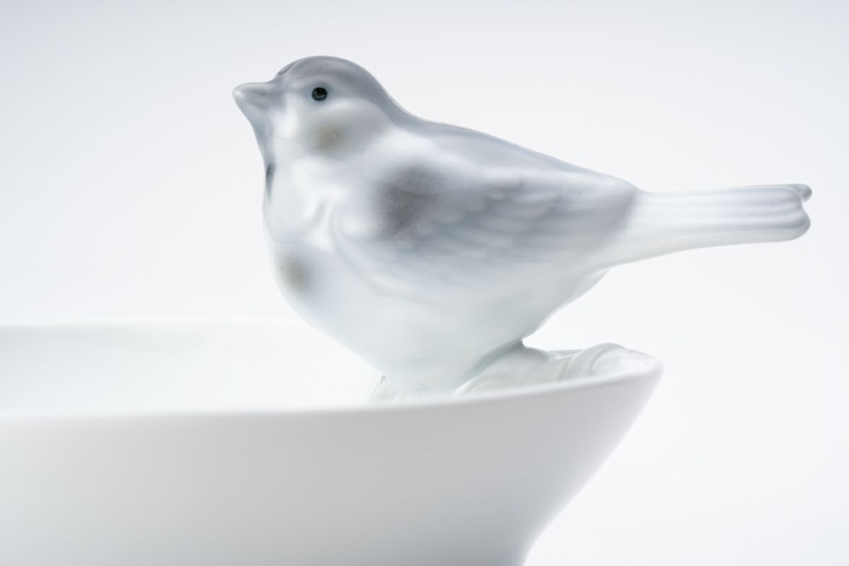 釉彩小鳥 彫刻皿 | 有田焼 深川製磁｜公式オンラインストア