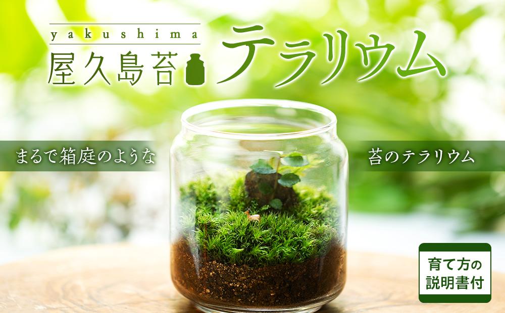 屋久島苔テラリウム | JTBのふるさと納税サイト [ふるぽ]