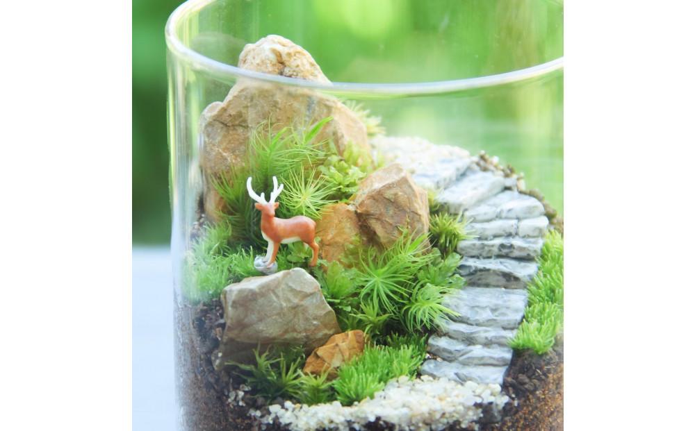 苔テラリウム・コケリウム》牡鹿_苔の箱庭 キャニスターL | JTBの
