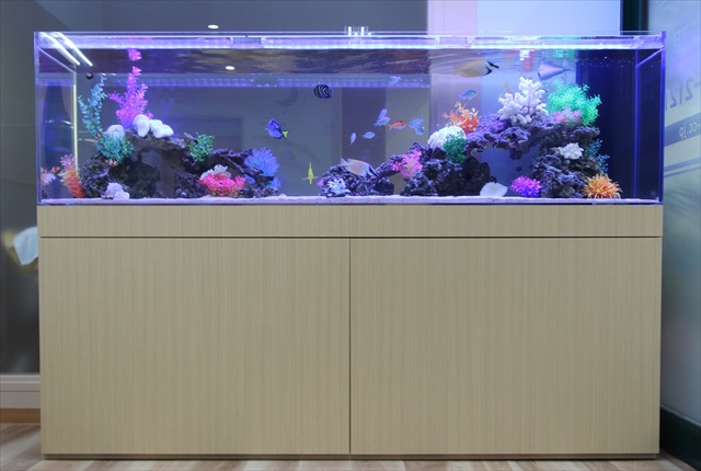 ファインディングニモ水槽！？｜群馬アクアガーデン