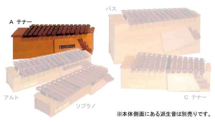 こおろぎ社 木琴・卓上木琴（シロボックスホーン Aテナー）・楽器販売