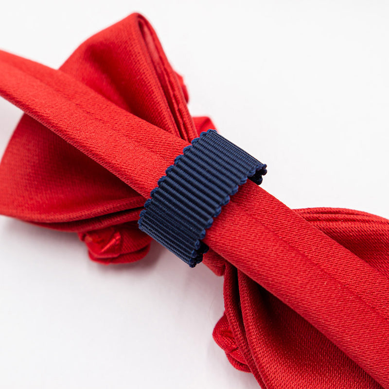 おめかしいとおしいとおかし｜猫のための蝶ネクタイ（ローズ蝶タイ