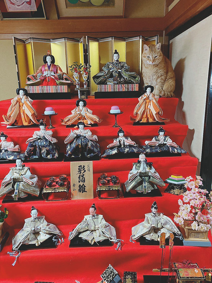 ひな人形を見て「1人多い…」 撮影された光景に「むしろ主役では