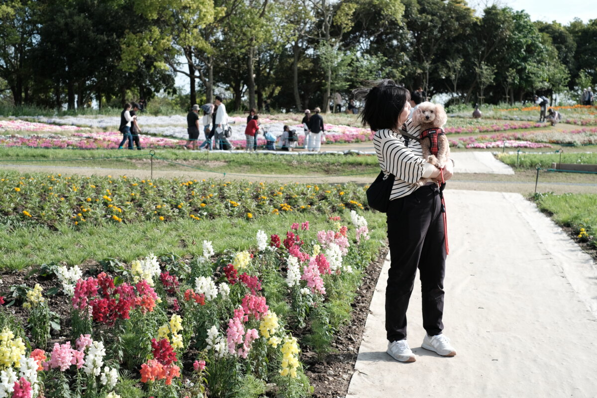 愛犬と一緒に浜名湖花博2024を満喫！わんこ連れでの注意点もご紹介