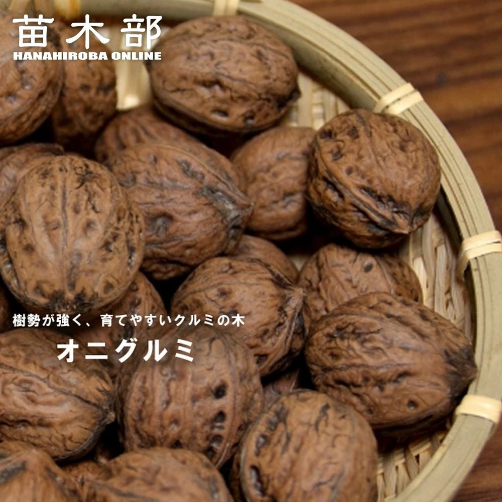 000000002328-01.jpg?size=l&w=