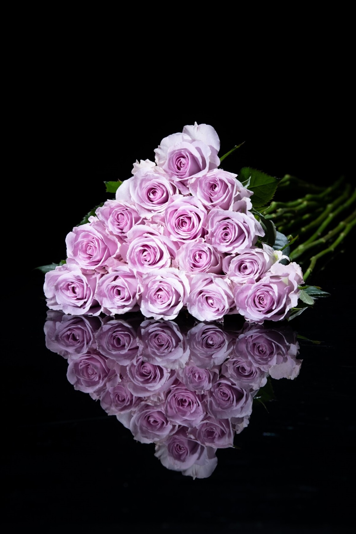 ROSE GALLERY GINZA | 花百花 ‐hanahyakka‐