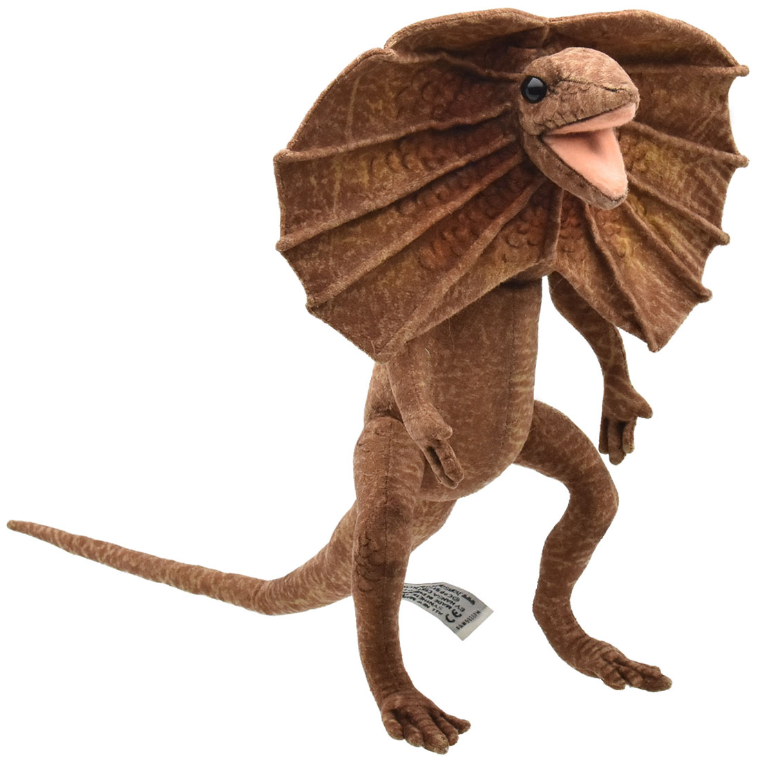 エリマキトカゲ 36 | HANSA