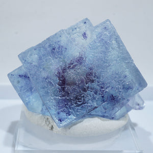 フローライト – タグ 