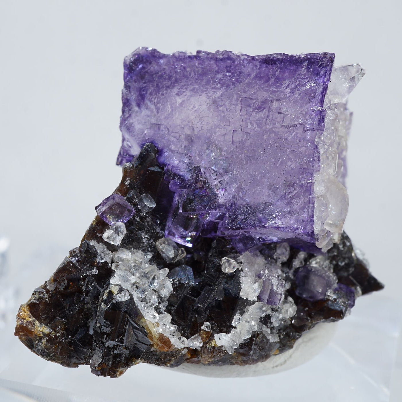 テネシー州 エルムウッド鉱山産 フローライト・スファレライト・カル