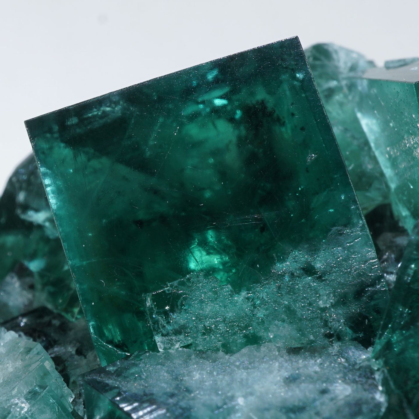 イギリス Diana Maria Mine ダイアナマリア鉱山 (The Hidden Forest