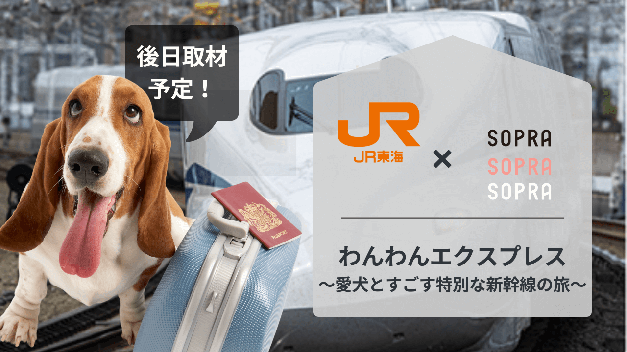 ワンちゃんと新幹線に乗ろう！「わんわんエクスプレス」開催！ | ハピプレ