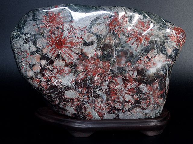 ◇天然石！岐阜県産／貴重！瑪瑙質菊花石－台座付きNo,75◇ - 鑑賞石の