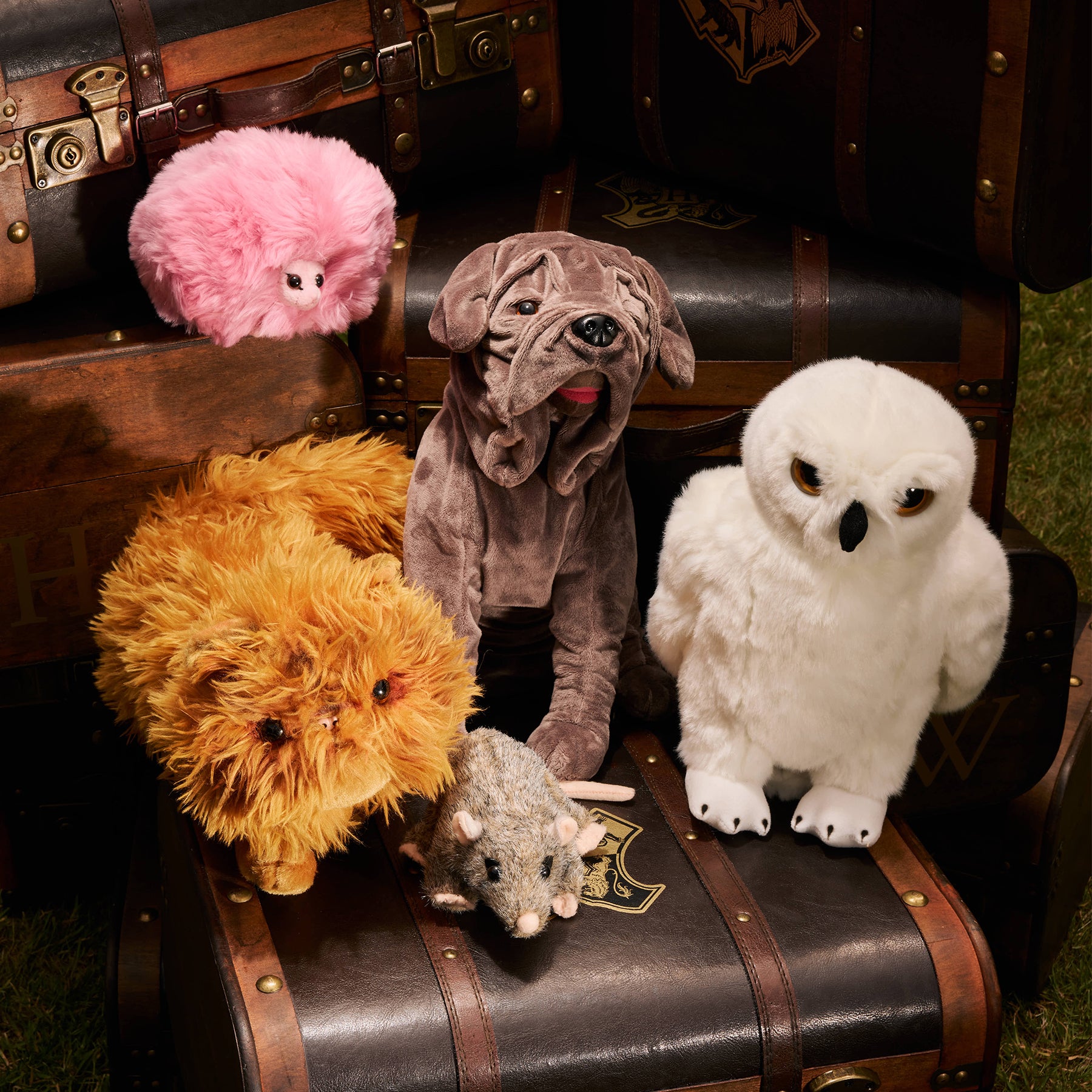 Fang Boarhound Soft Toy | Harry Potter shop JP