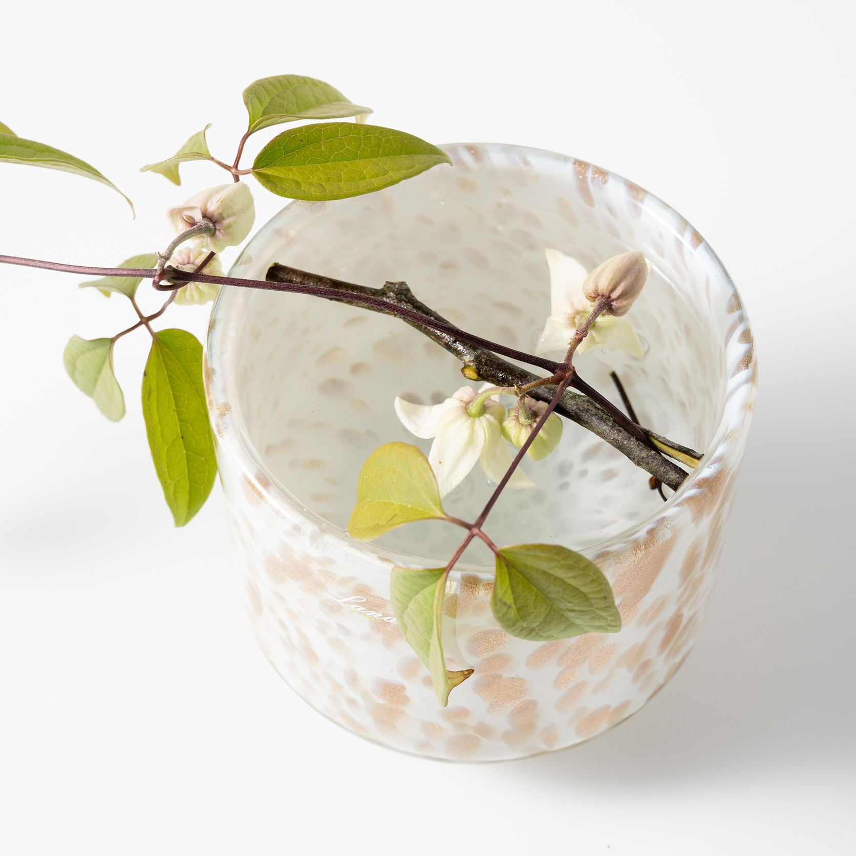 Akiko L ペルリーノ