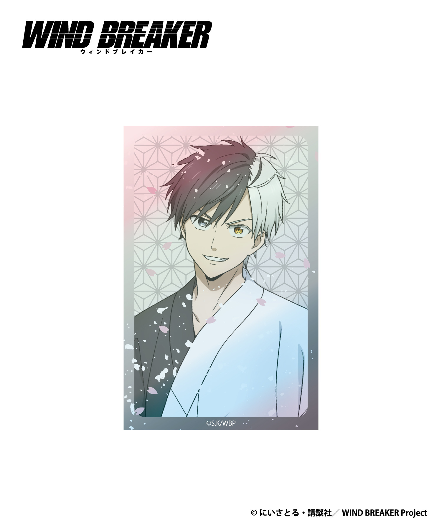 TVアニメ『WIND BREAKER』ブック型フォトカードセット_桜遥｜HICUL