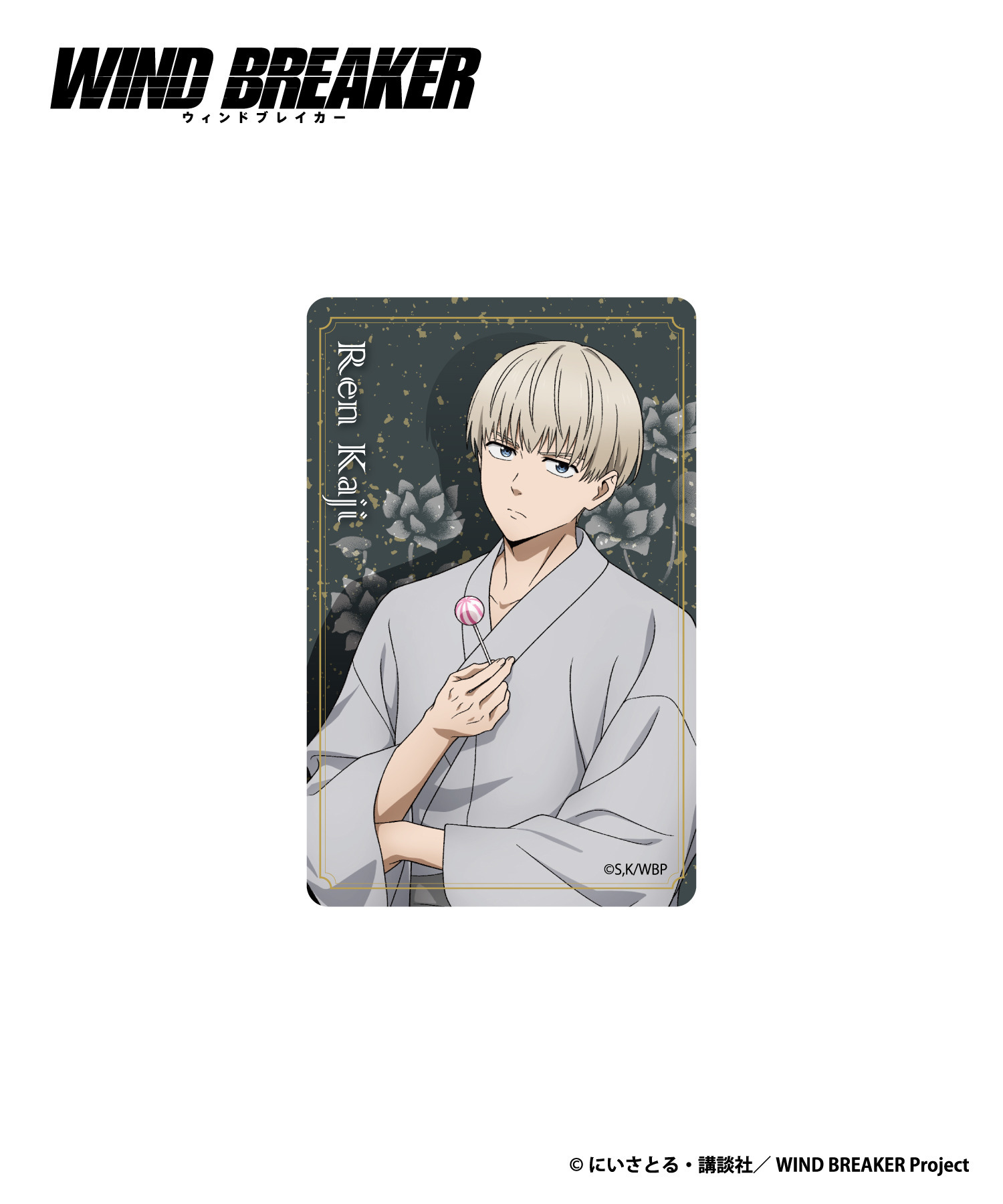 囚われのパルマ TOUR RECORDS クリアファイルとフォト風カード 囚われ