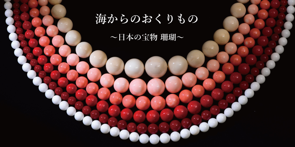 海からのおくりもの〜日本の宝物 珊瑚〜 | 日髙本店 イベント・フェア