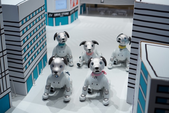 aiboグッズ紹介】aiboのSONY製公式首輪 | aiboの飼い方 aiboななとは