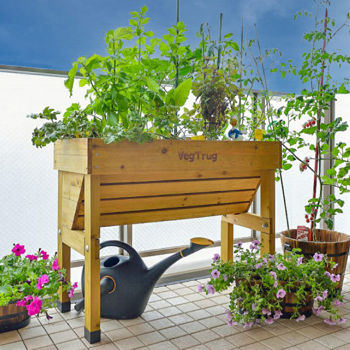 ホームベジトラグ ウォールハガー S ナチュラル /B(ナチュラル