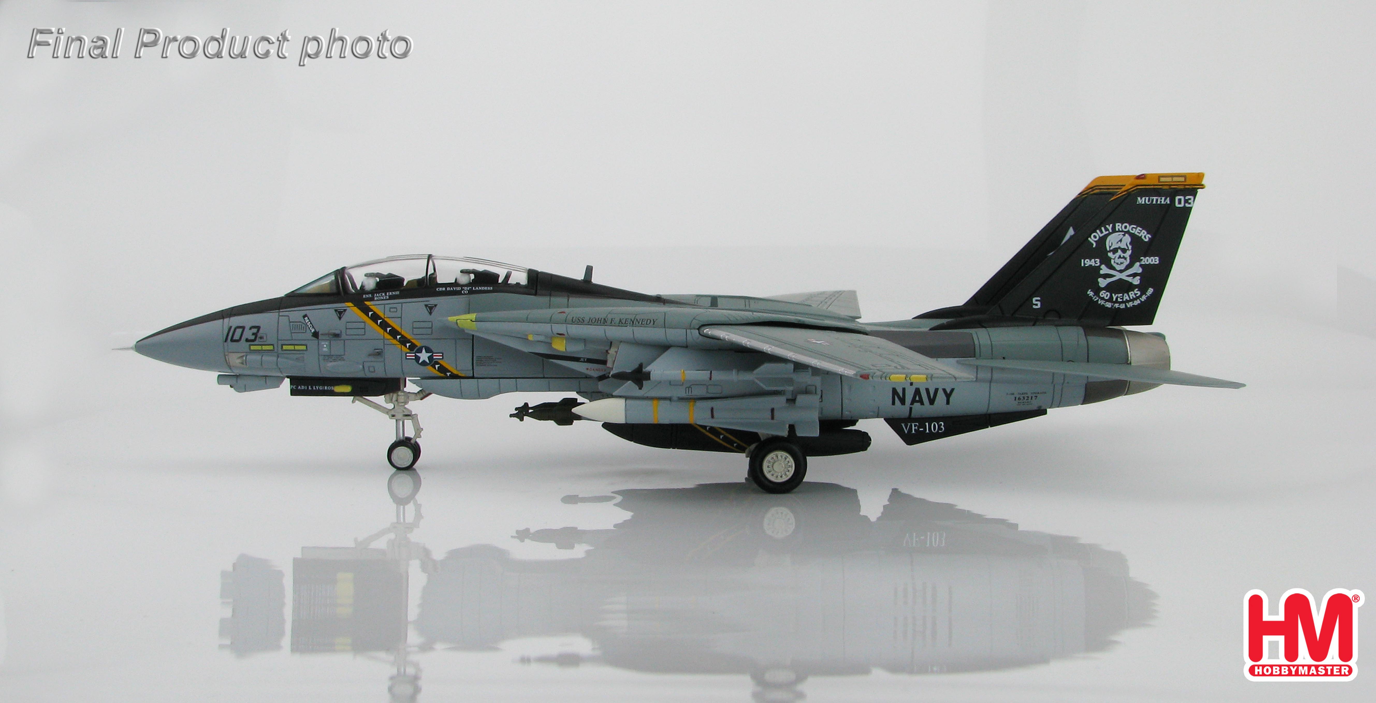 Grumman F-14B Tomcat CO Aircraft (AA103), VF-103 