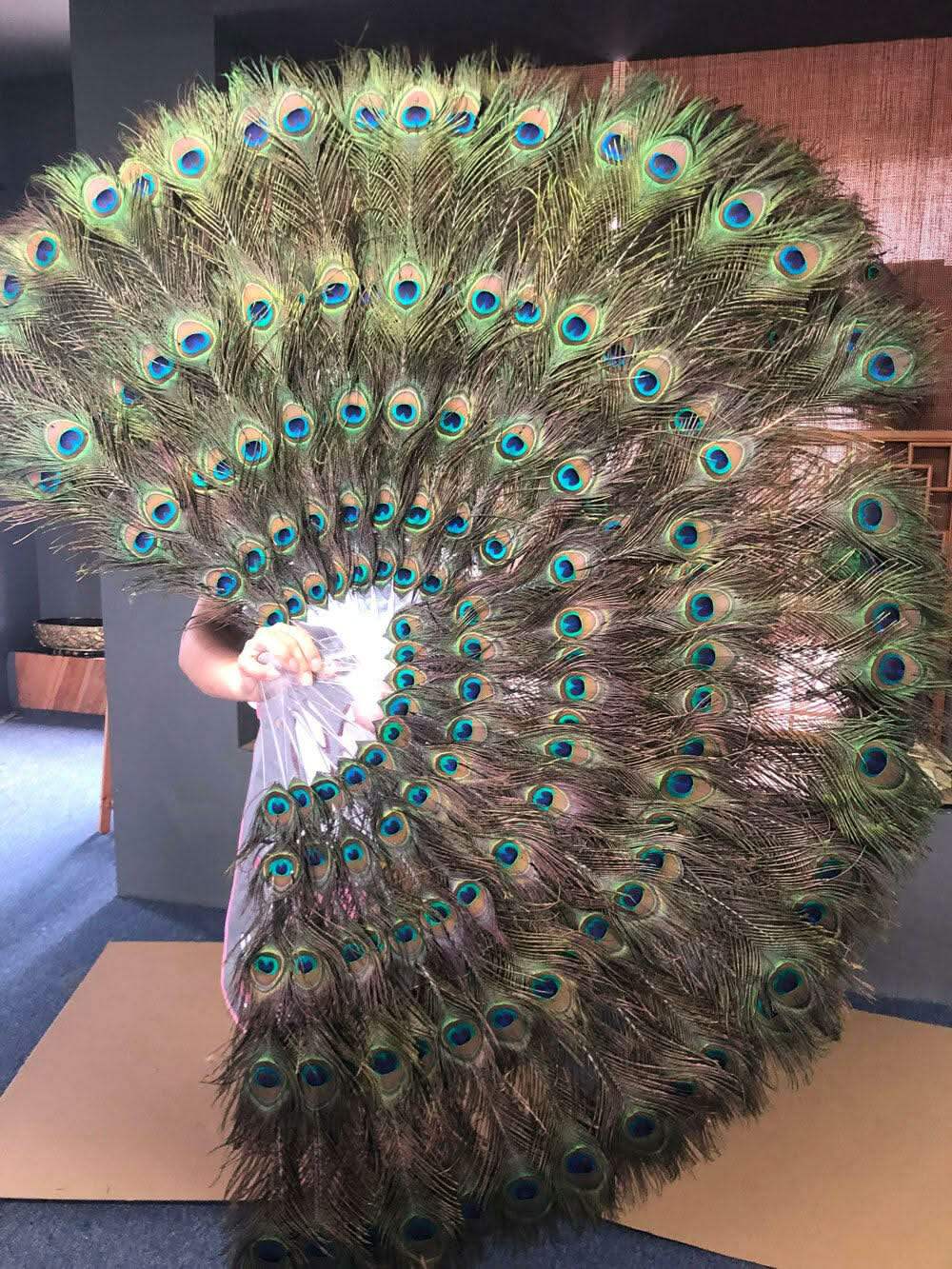 両面孔雀羽根扇子 – hot fans