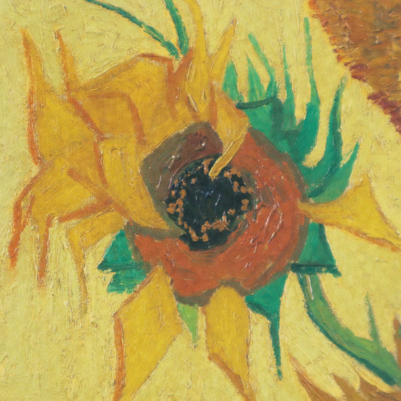 フィンセント・ファン・ゴッホ 「ひまわり アムステルダム版（6枚目