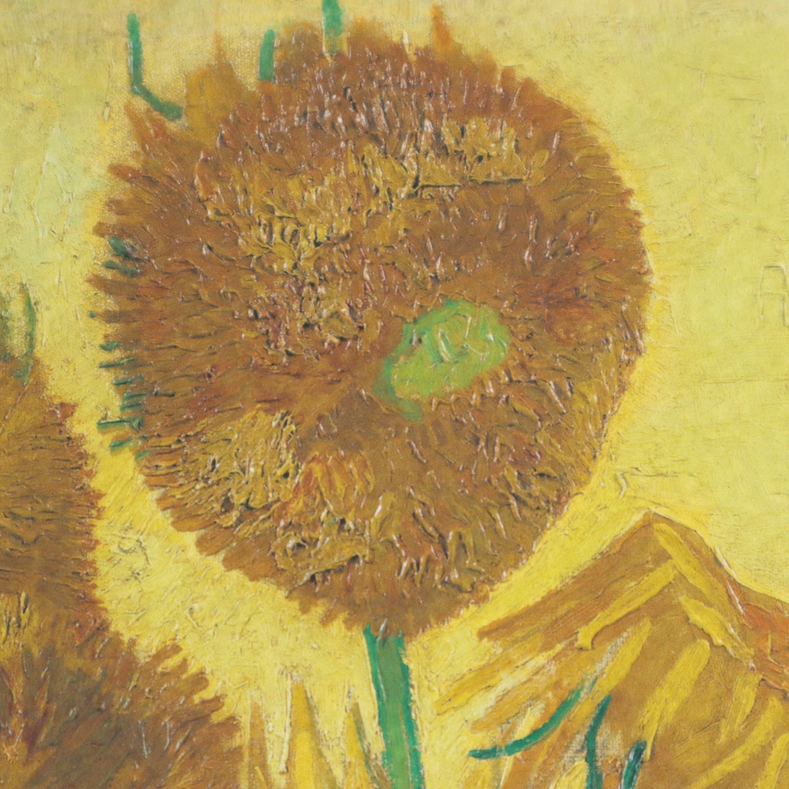 フィンセント・ファン・ゴッホ 「ひまわり アムステルダム版（6枚目