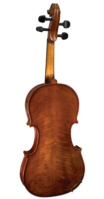 Stentor 1500 Stentor 4/4 Student II Violin with Case and Bow | eBay