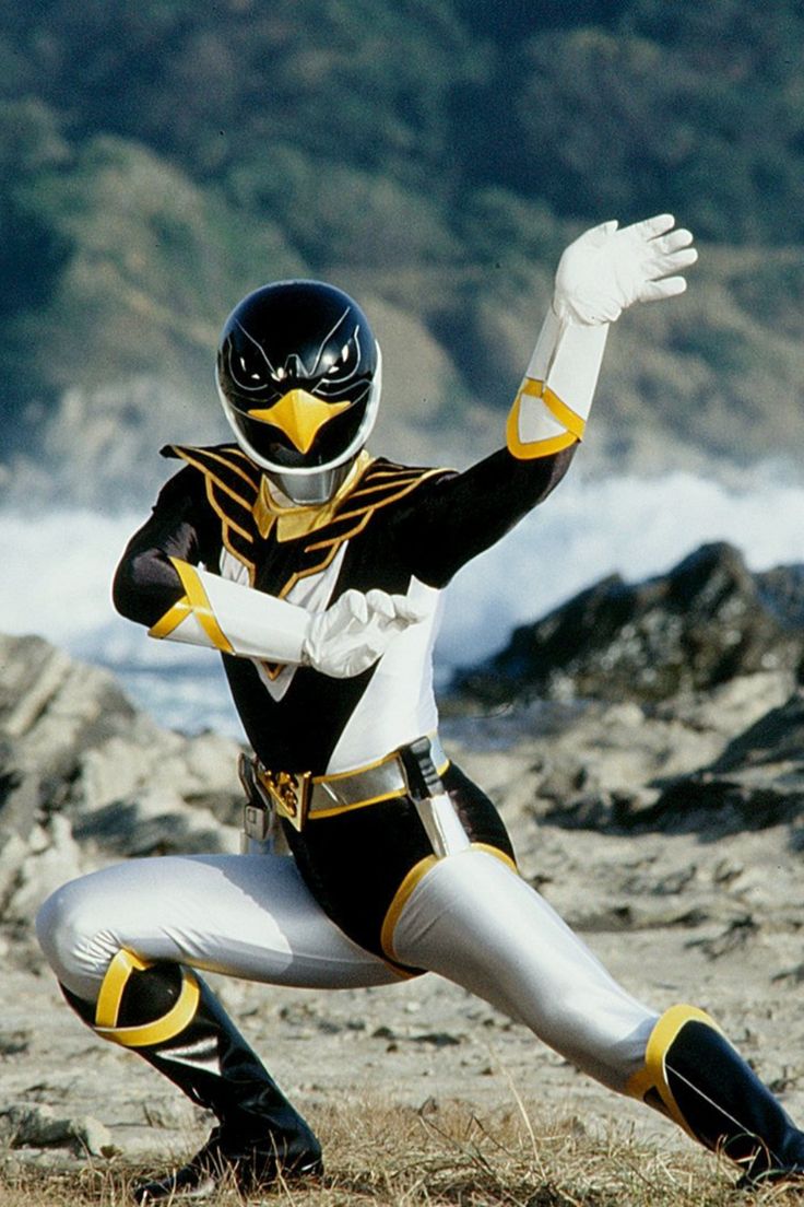 戦隊ヒーロー】ブラックコンドル