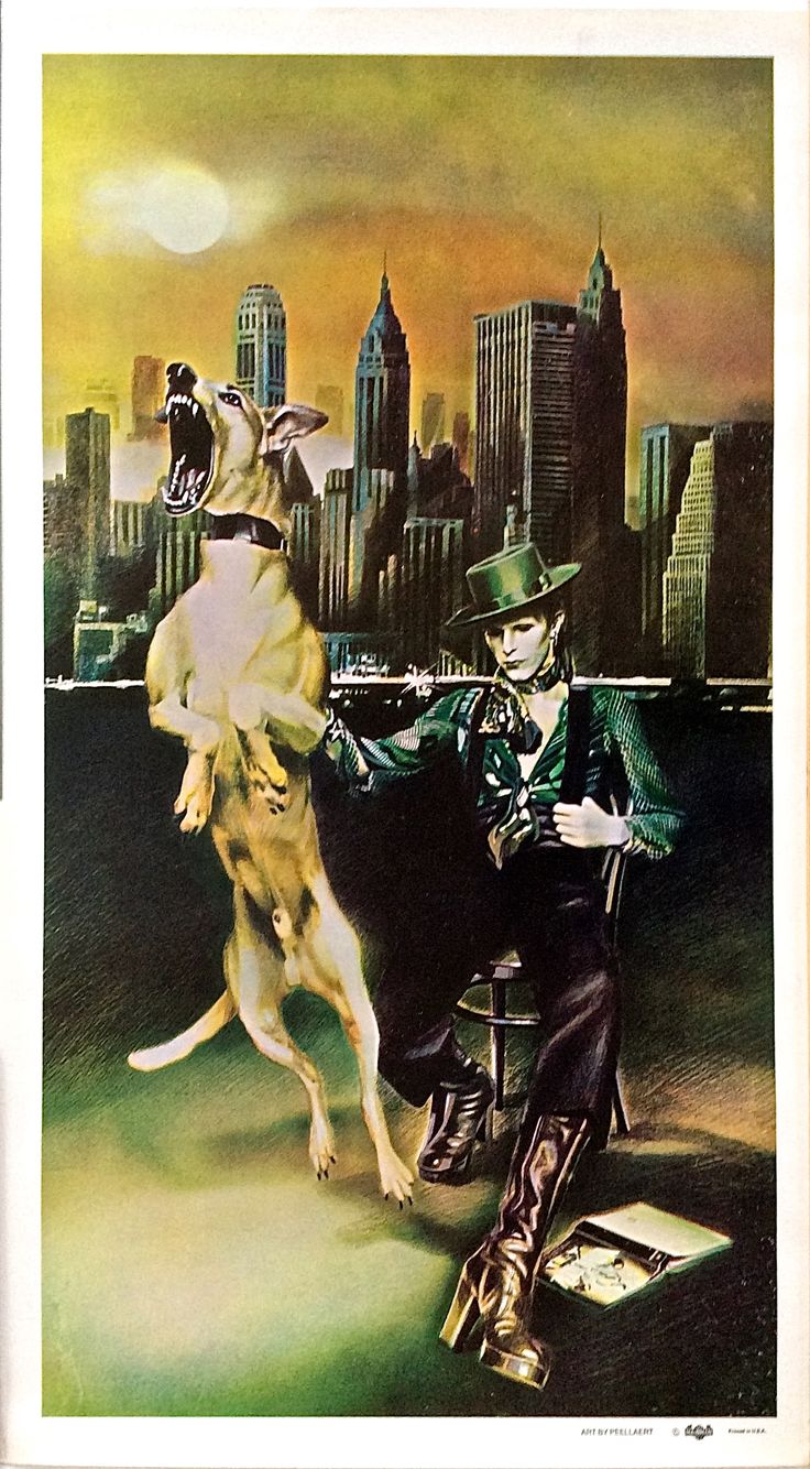 40 件の「David Bowie」のアイデアを今すぐ保存 | ボウイ、デビッド