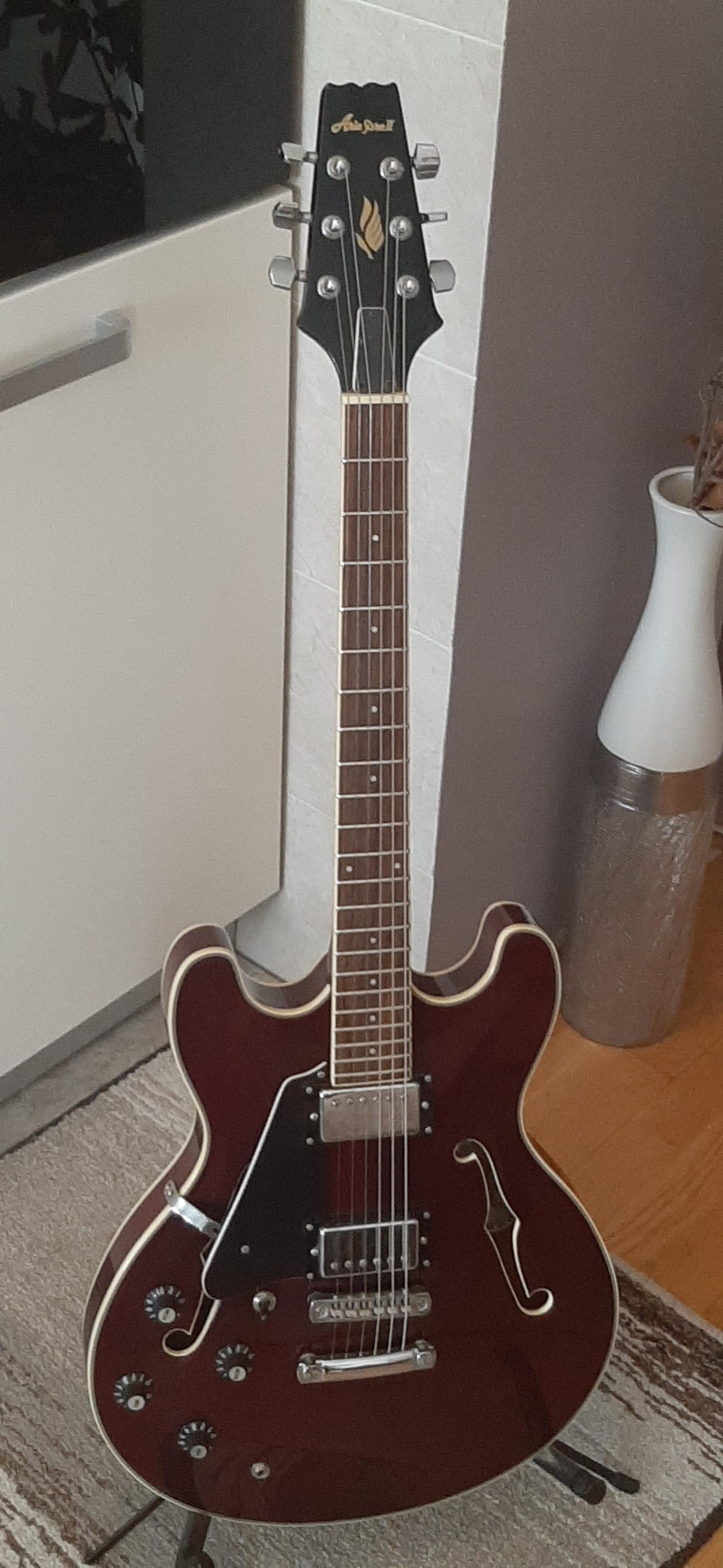 NGD - mid 80s Aria Pro II TA-40 hollowbody : r/Leftyguitarists