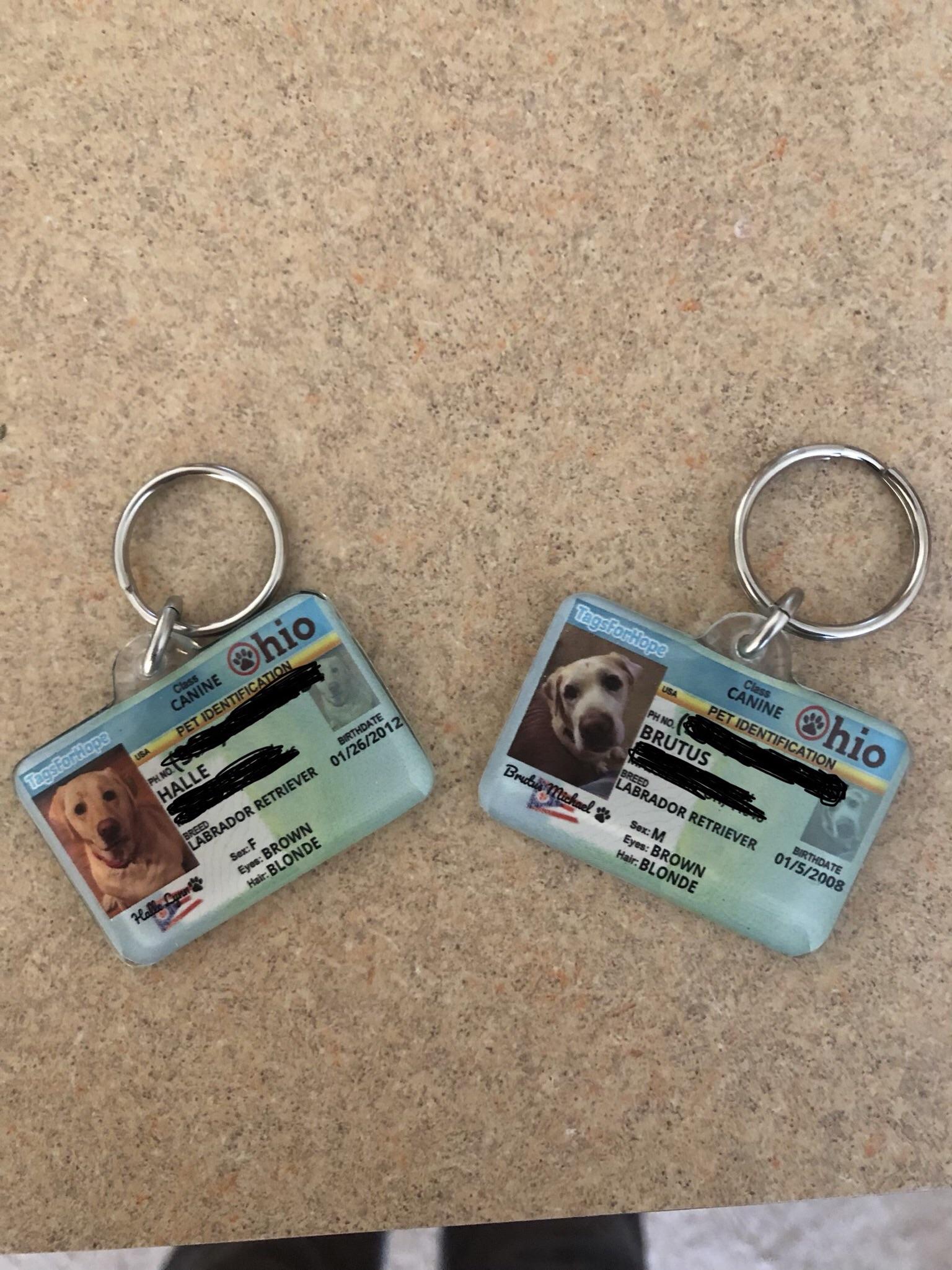 The name tags I just ordered for my dogs look like my states