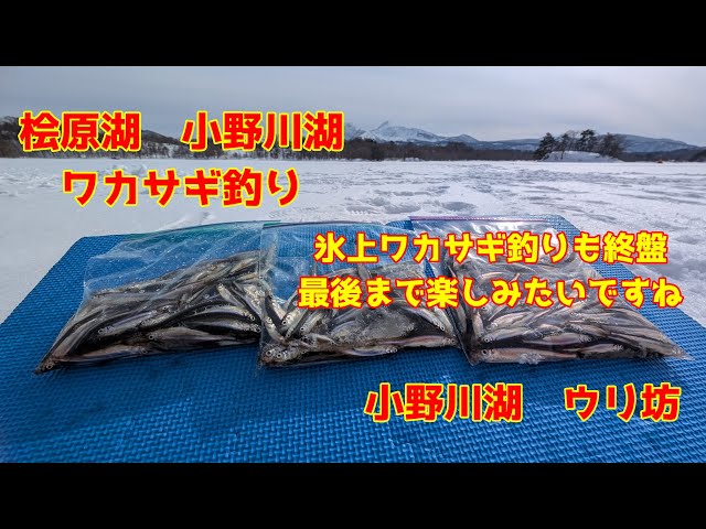 March 8, 2025, Lake Onogawa, Smelt fishing from an ice tent. How