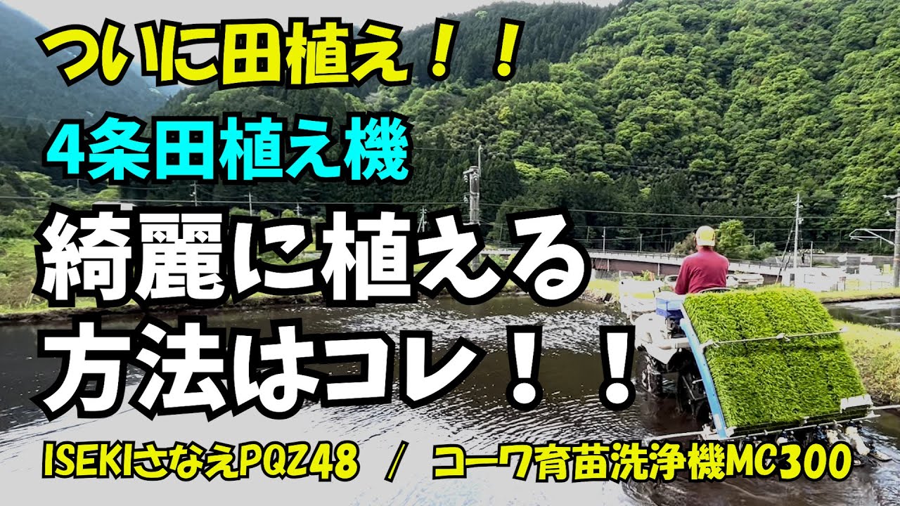 ついに田植え！！4条田植え機での植え方（お父さん流）教えます】ISEKI